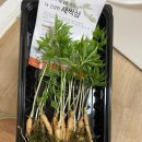 생초한의원 네이버블로그