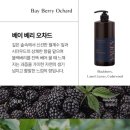 워시팡팡 이미지