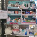 광제사약국 이미지