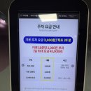 2025년 여의도 벚꽃 실시간(4/1), 여의도 IFC몰 주차, 방문후기(시마스시/노티드)