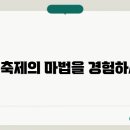이곳에서 이미지