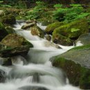 청산유술