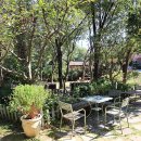 상록공원 게이트볼장 이미지