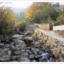 유평 마을회관 이미지