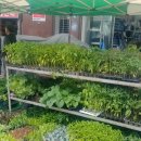 금산흥농 이미지