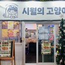 시월의고양이