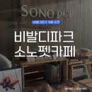 라운지독 | 비발디파크 소노펫라운지 카페 띵킹독 후기 숙박객 할인쿠폰