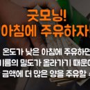 돈주유소 이미지