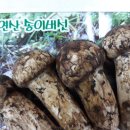 보광약업사 이미지