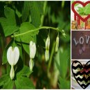 바람결-시간의 흐름 이미지