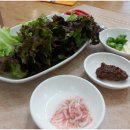 건아렌트카 이미지