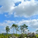 금강보행교 9 이미지