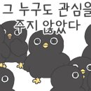 정가짬뽕 이미지