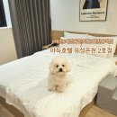 더휴식아늑유성 이미지