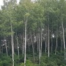 계곡사슴팬션 이미지