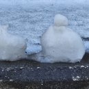 데굴데굴 이미지