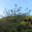 포항시남구30 이미지