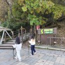 영월한반도지형 | 영월 한반도지형 가족여행 후기 &amp; 자연이 빚어낸 특별한 풍경 속으로