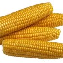 베트남어교실 이미지