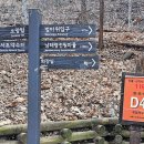 우면산5-5 이미지