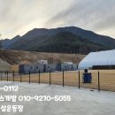 창녕공설운동장 네이버블로그