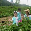 샘터어린이집 이미지