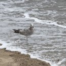 숲멍