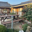 이오이오반점 | 대구여행, 경주여행 25.3.22-24