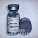 이카로스 이미지