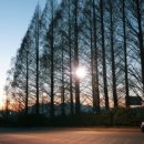 명옥헌민박 이미지