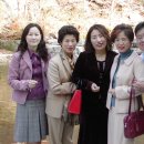 주은 자연휴양림 이미지