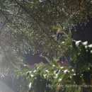 충주게임랜드 이미지