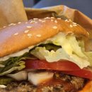 다이로움실란트 | 🍔 감자네 먹부림 | 유쾌한 호소문과 근본의 맛! '버거킹 와퍼' (ft. 다이로움 가능)