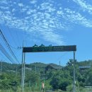 숲속애 애플트리 이미지