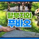 강바오님 푸 만난거 올라왔어요! 이미지