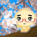 내일은쌤