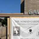 개님은 털빨 이미지