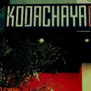 코다차야 이미지