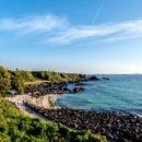 스테리나잇제주 이미지