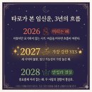 [꽐라비의 사주유람 5편] "2026년 임신은 힘들겠어요" - 운세박람회 3화, 타로 후기