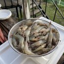 안동강노을 이미지