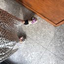 시장악세사리 티스토리