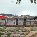 젤루느린달팽이 이미지