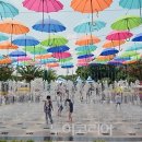 강진청자축제 이미지