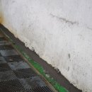 (주)도체오 이미지