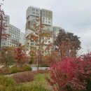 해오름부동산공인중개사사무소 이미지