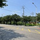 효자동행정복지센터 이미지