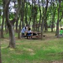 위례강변길 이미지