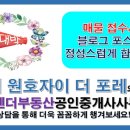 포레사랑공인중개사사무소 이미지
