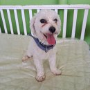 정촌119안전센터 이미지